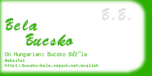 bela bucsko business card